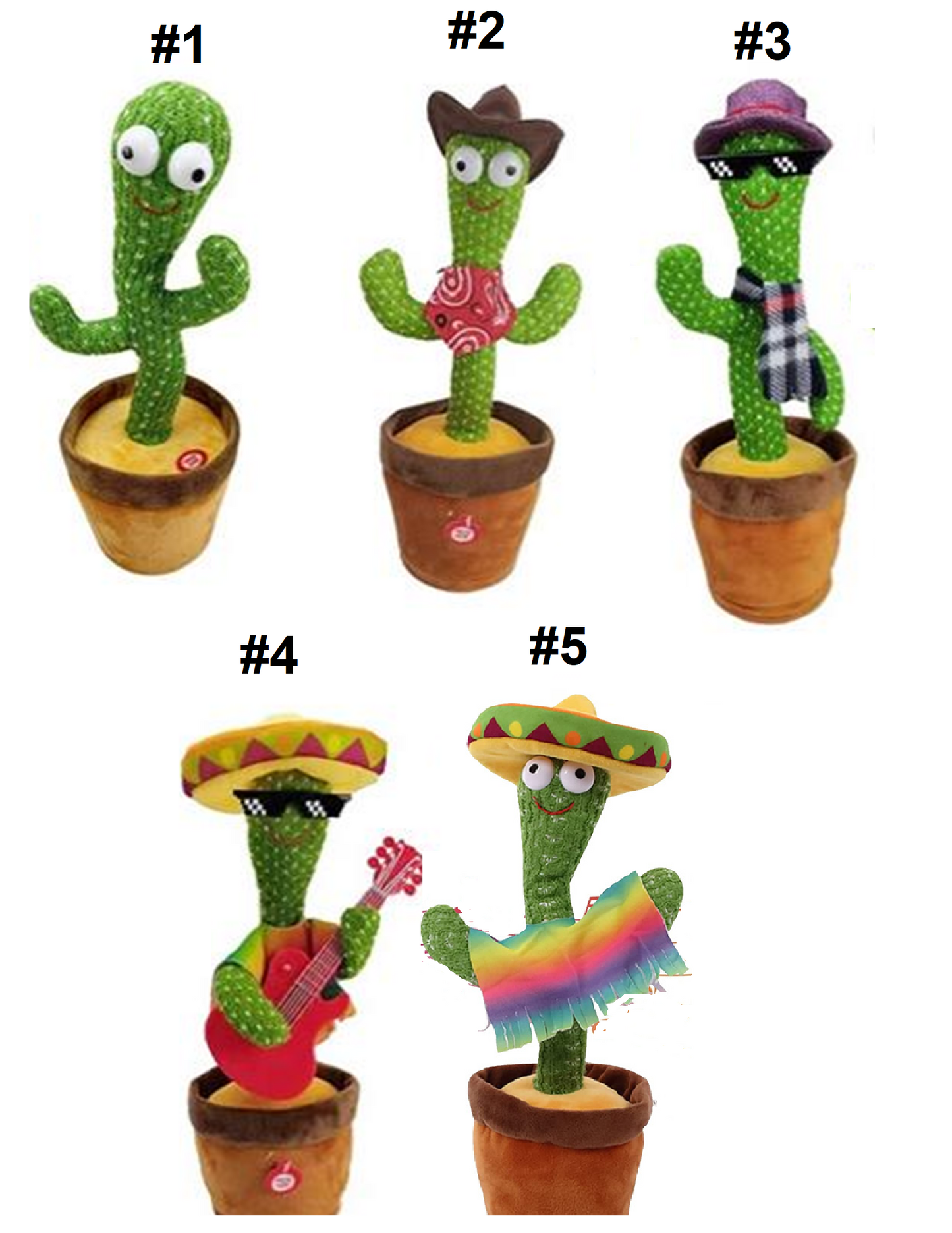 Cactus Bailarin Luces