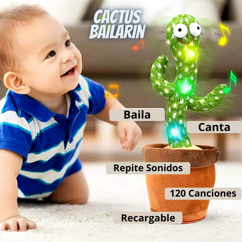 Cactus Bailarin Luces
