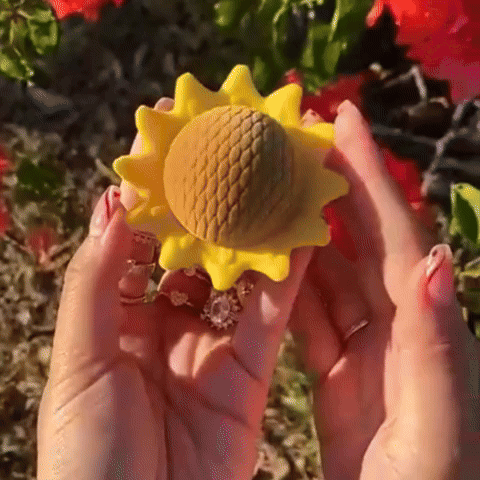 Combo Girasol Giratorio Caja Lujo Dp