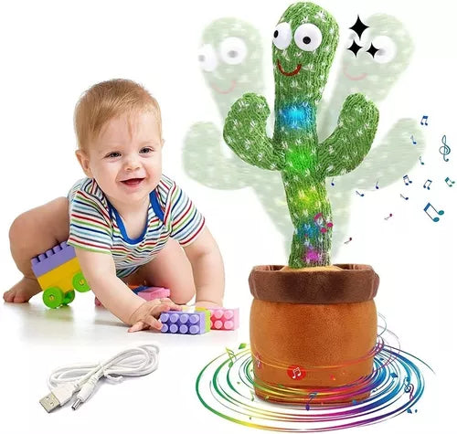 Cactus Bailarin Luces
