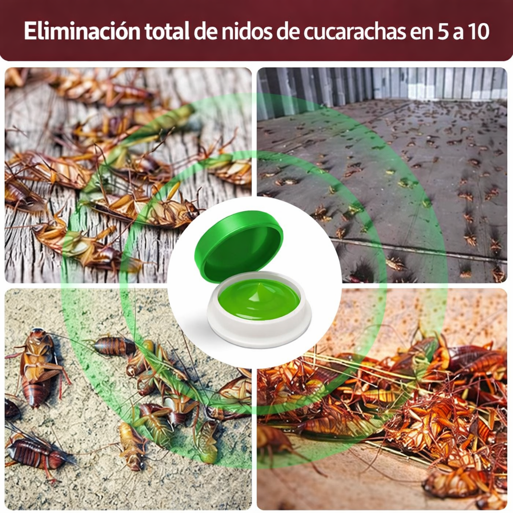 Pack X12 Cebo Eficaz Para Exterminar Cucarachas Paga 1 Lleva 2