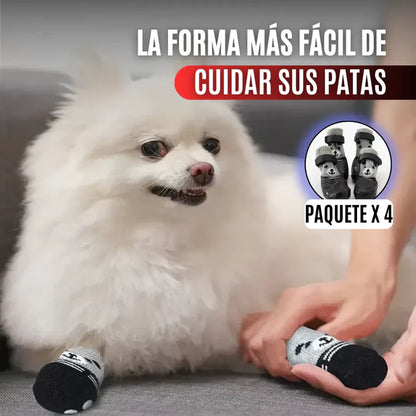 zapatos en silicona perros talla