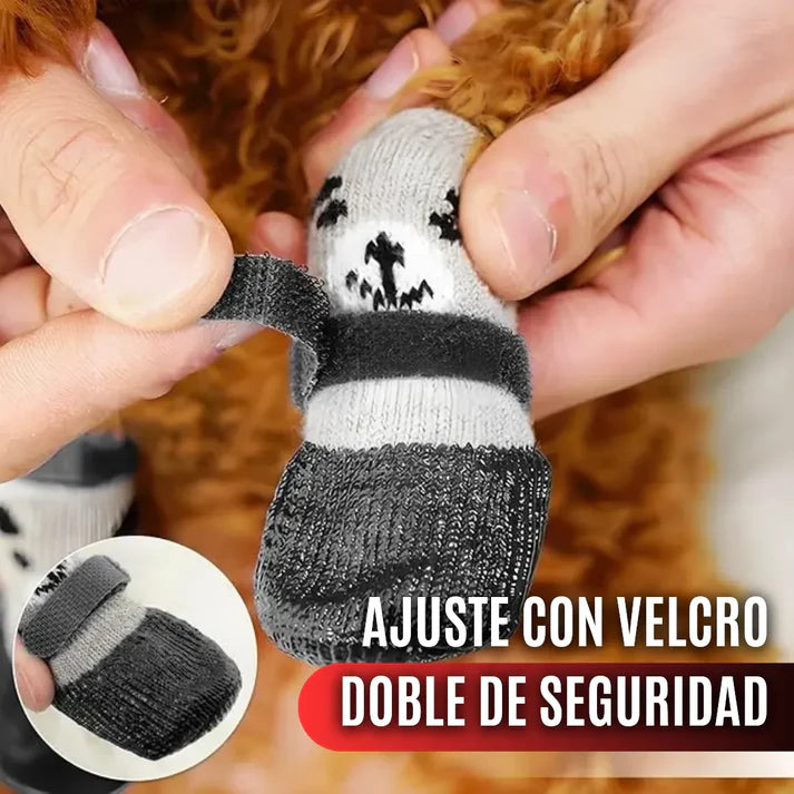 zapatos en silicona perros talla