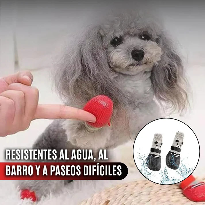 zapatos en silicona perros talla